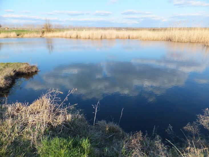 Кузнецове з panoramio.com - Кузнецово
