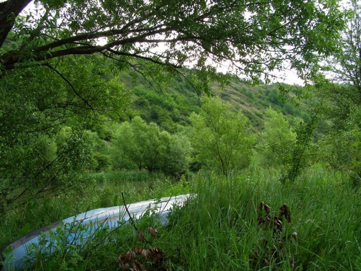 Пукляки з panoramio.com - Пукляки