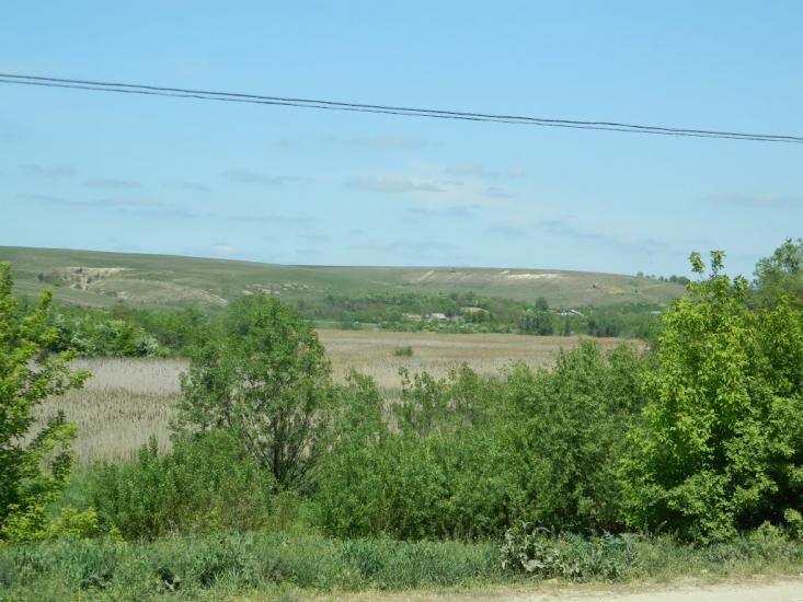 Дубове з panoramio.com - Дубове