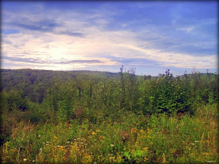 Кам'яниця з panoramio.com - Кам'яниця