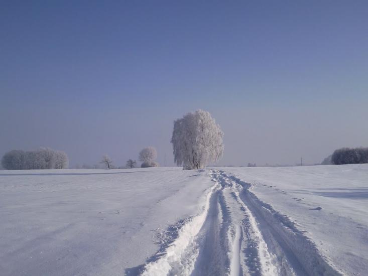 Терехи з panoramio.com - Терехи