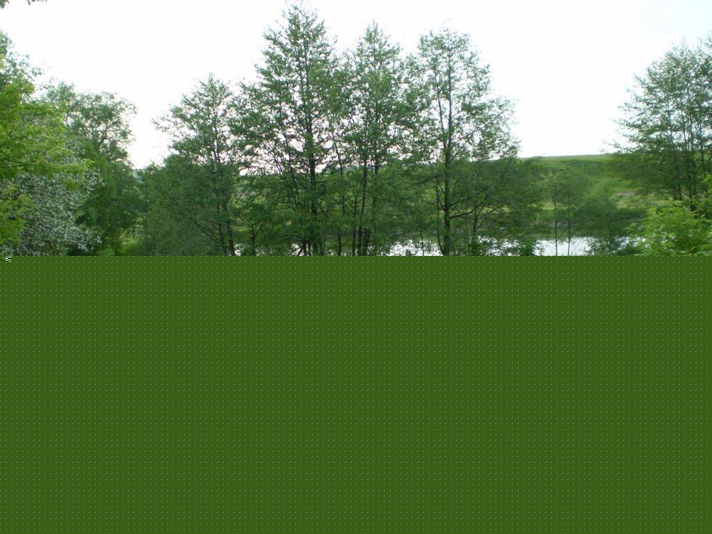 Широке з panoramio.com - Широкое