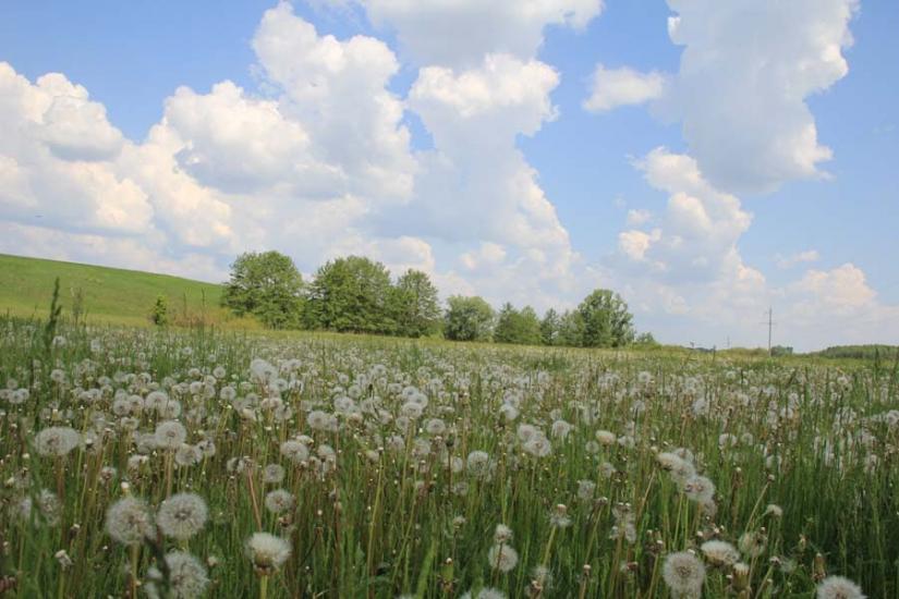Шкурпели з panoramio.com - Шкурпелы