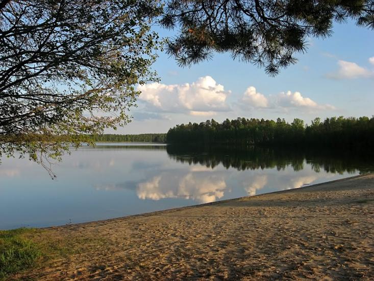 Ниговищі з panoramio.com - Ниговищи