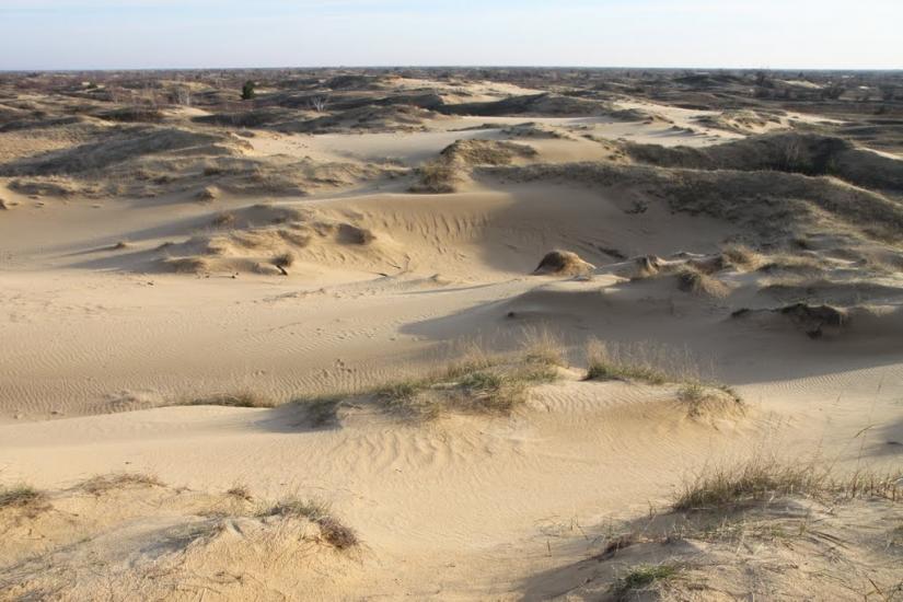 Козачі Лагері з panoramio.com - Козачие Лагеря
