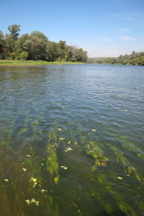 Піщане з panoramio.com - Pischane
