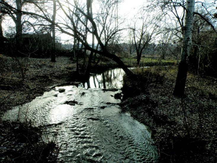 Маломиколаївка з panoramio.com - Маломиколаївка