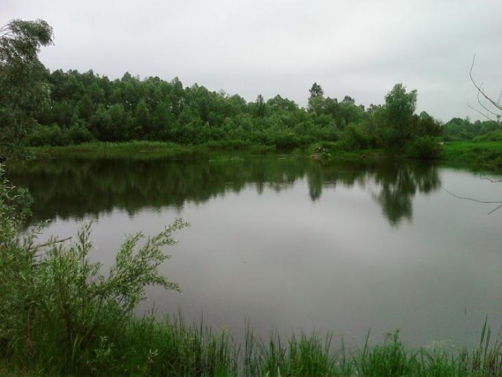 Іванків з panoramio.com - Иванков