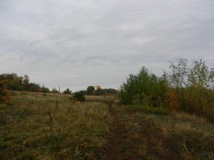 Старий Крим з panoramio.com - Старий Крим
