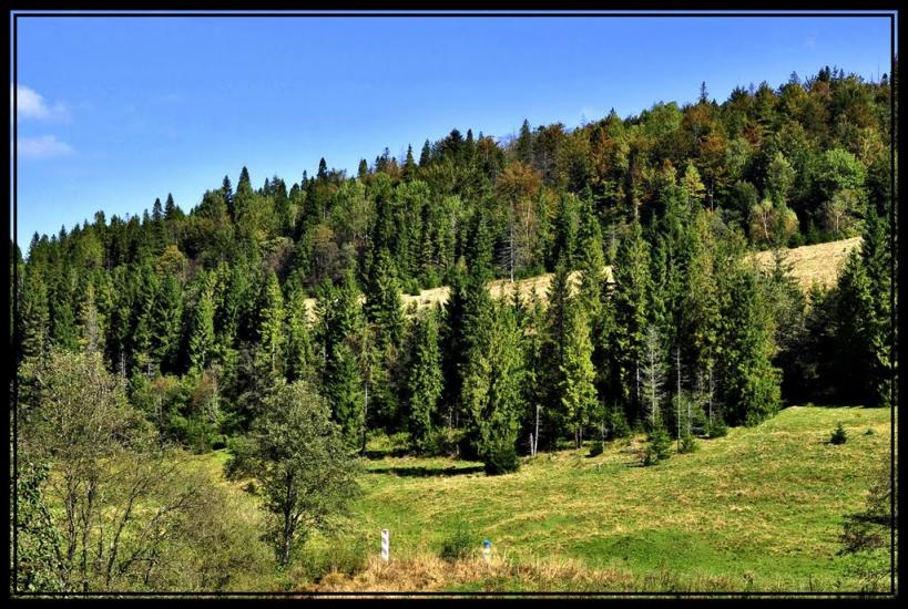 Сянки з panoramio.com - Сянки