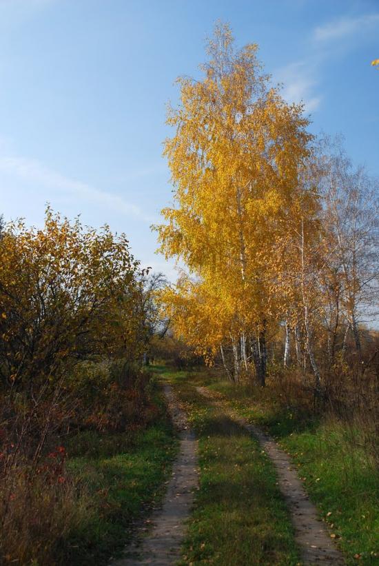 Вітрівка з panoramio.com - Vitrivka