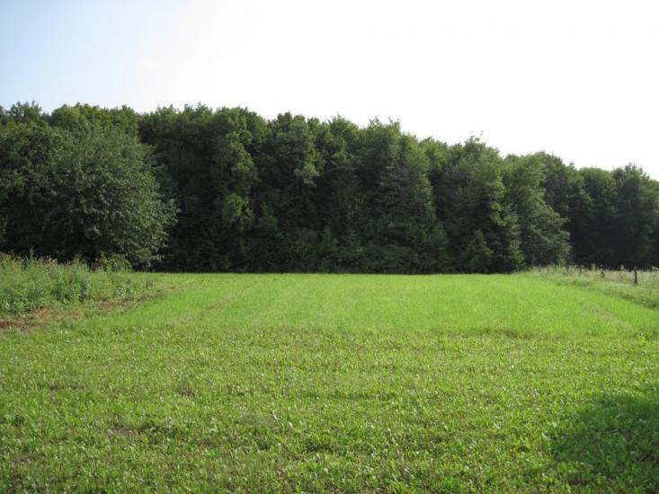 Галузинці з panoramio.com - Galuzyntsi