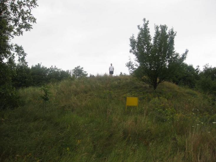 Садки з panoramio.com - Садки