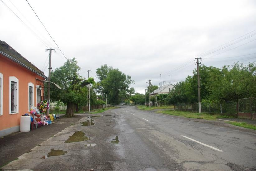 Мужієво з panoramio.com - Muzhiyevo