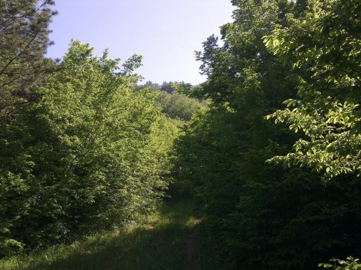 Долинне з panoramio.com - Долинне