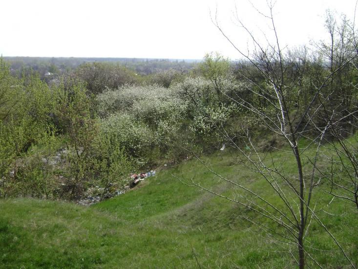 Білики з panoramio.com - Білики