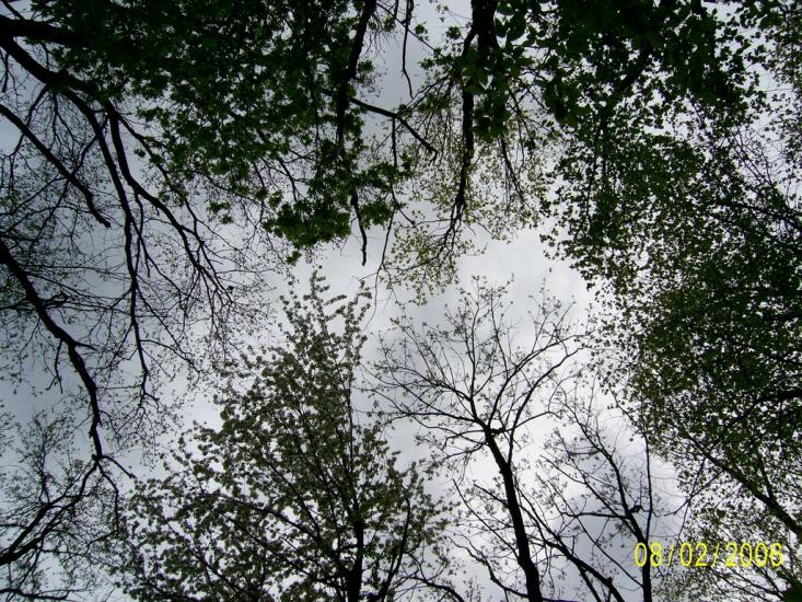 Романівка з panoramio.com - Романівка