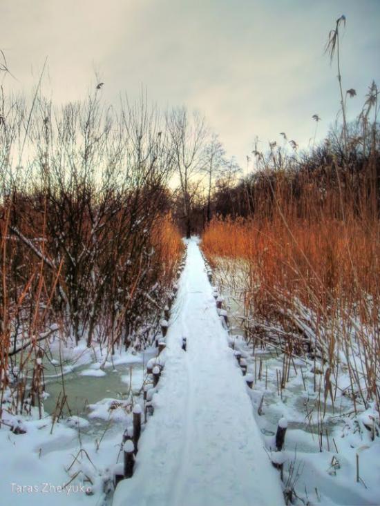 Кримка з panoramio.com - Кримка