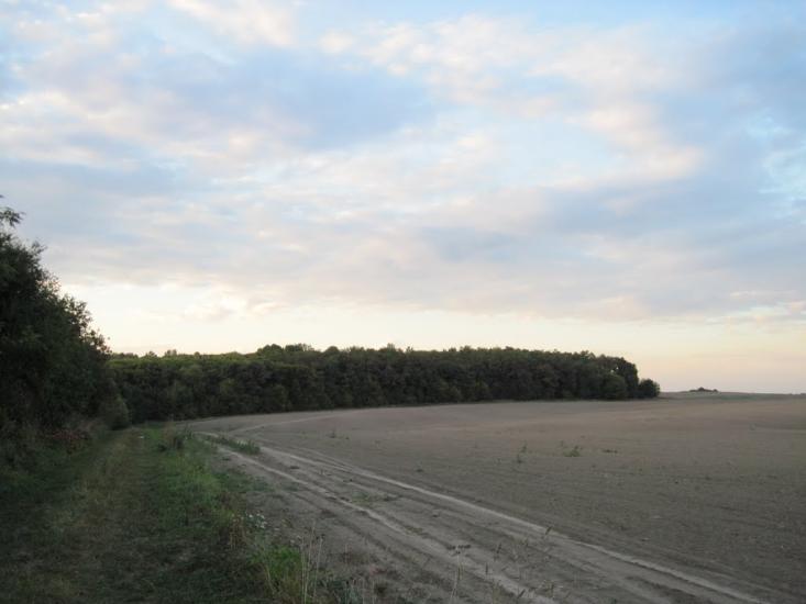 Серединці з panoramio.com - Seredyntsi