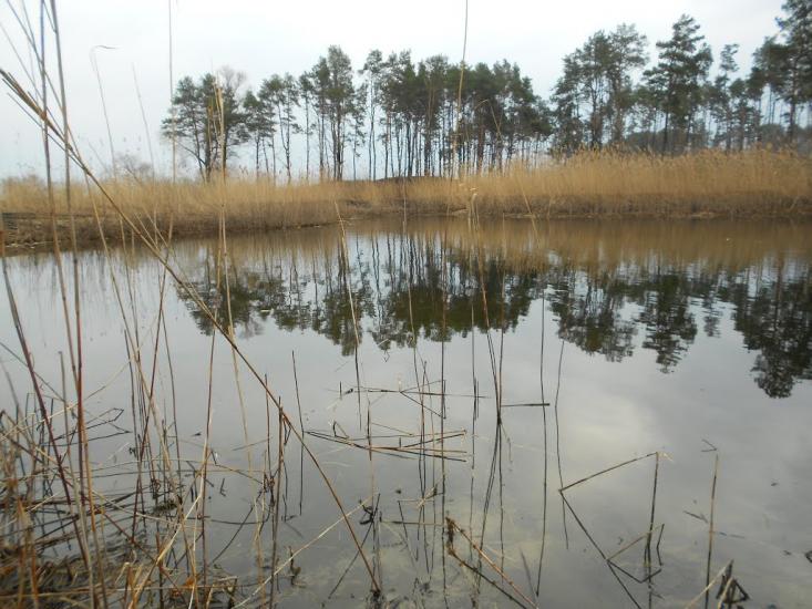 Леськи з panoramio.com - Леськи