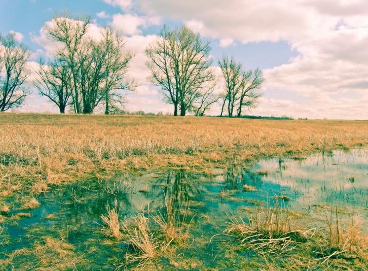 Слов'яносербськ з panoramio.com - Славяносербск
