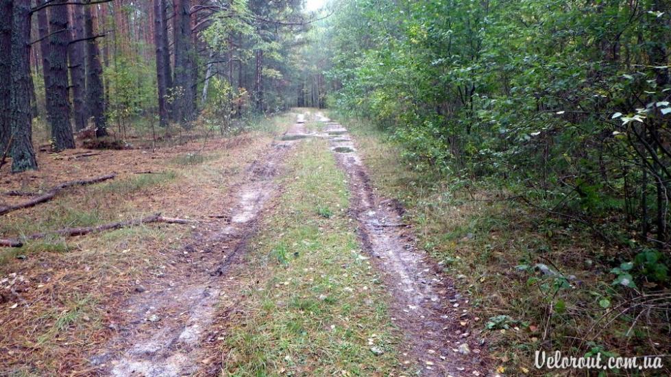 Гаєвичі з panoramio.com - Гаєвичі