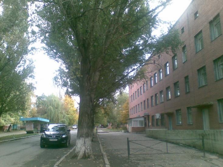 Піски з panoramio.com - Пески