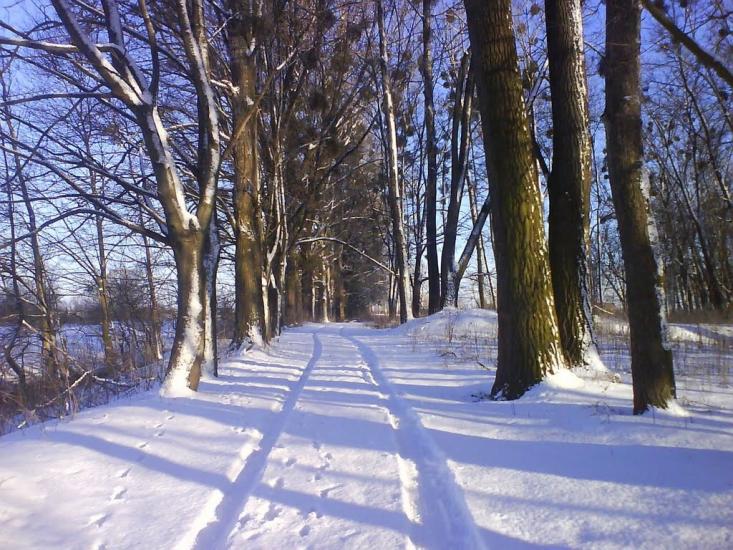Радехів з panoramio.com - Радехов