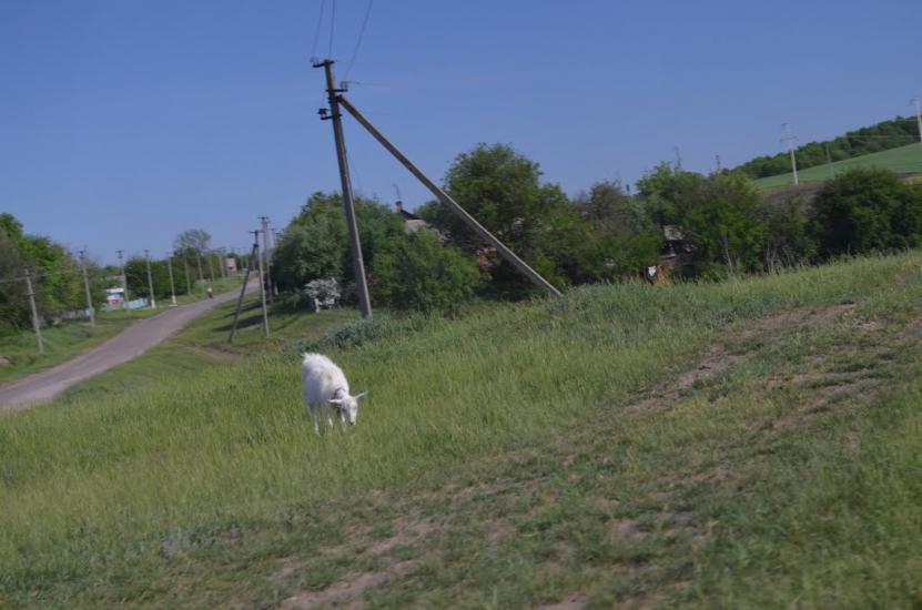 Лікарівка з panoramio.com - Likarivka