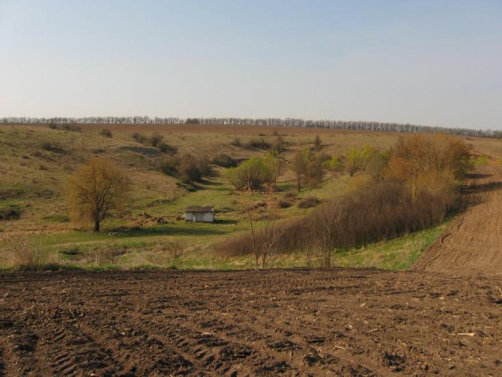 Четвертинівка з panoramio.com - Четвертинівка
