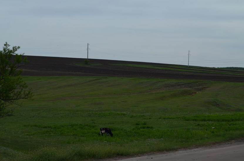 Лікарівка з panoramio.com - Likarivka