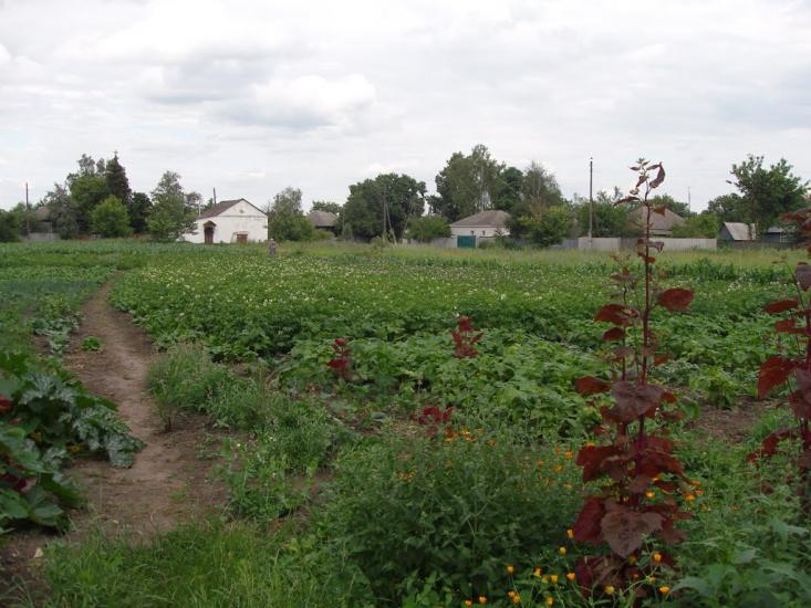 Попівка з panoramio.com - Поповка