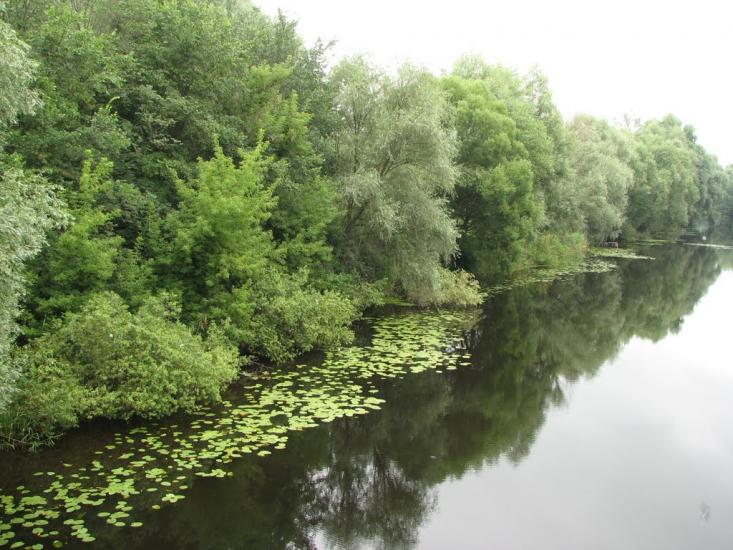 Зіньків з panoramio.com - Зеньков