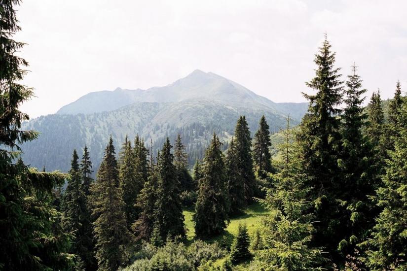 Видричка з panoramio.com - Видричка