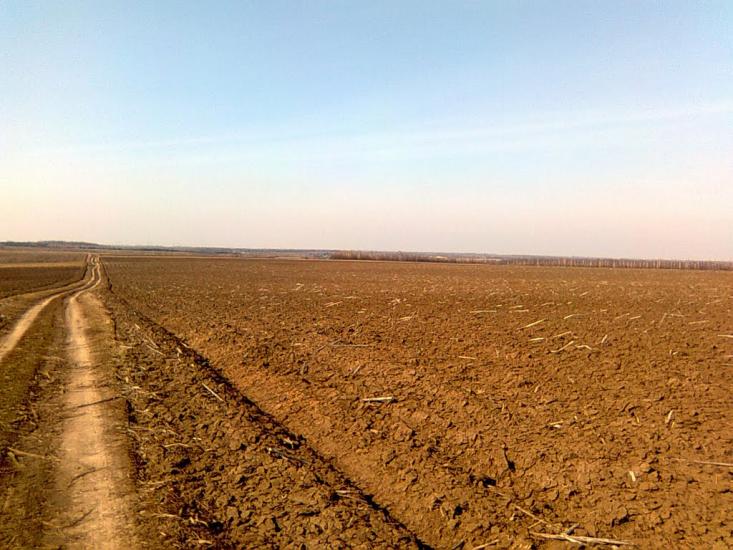 Петро-Марківка з panoramio.com - Петро-Марківка