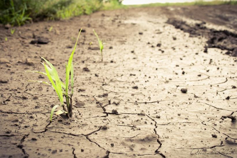 Бутенкове з panoramio.com - Бутенкове