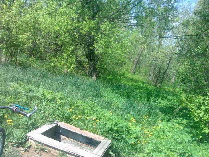 Голованівськ з panoramio.com - Голованівськ