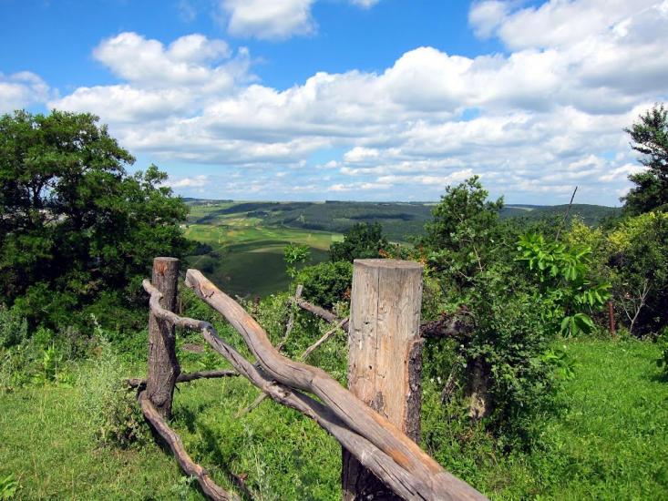 Стінка з panoramio.com - Стінка