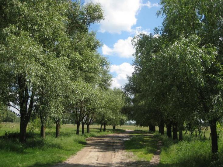 Жукин з panoramio.com - Zhukyn