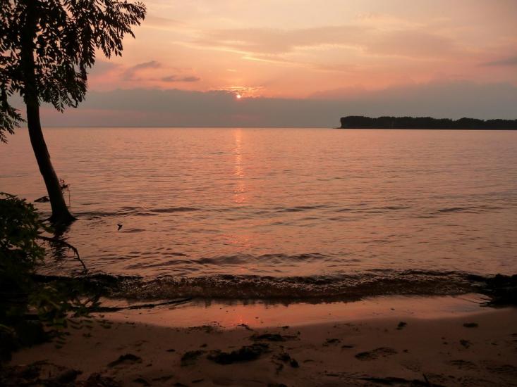 Ровжі з panoramio.com - Ровжи