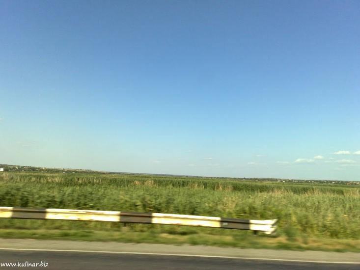 Григорівка з panoramio.com - Григоровка