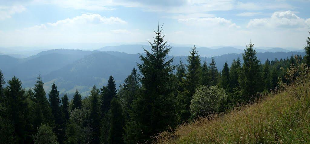 Орявчик з panoramio.com - Орявчик