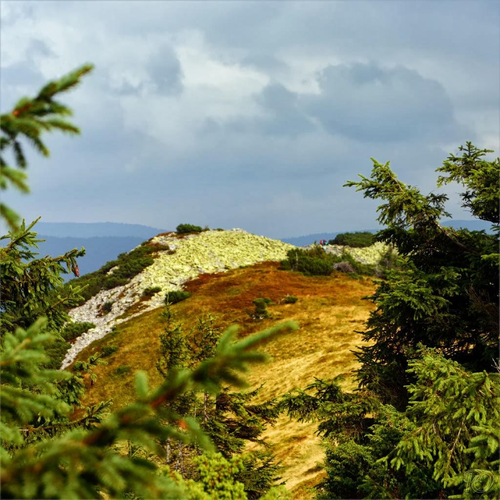 Береги з panoramio.com - Береги