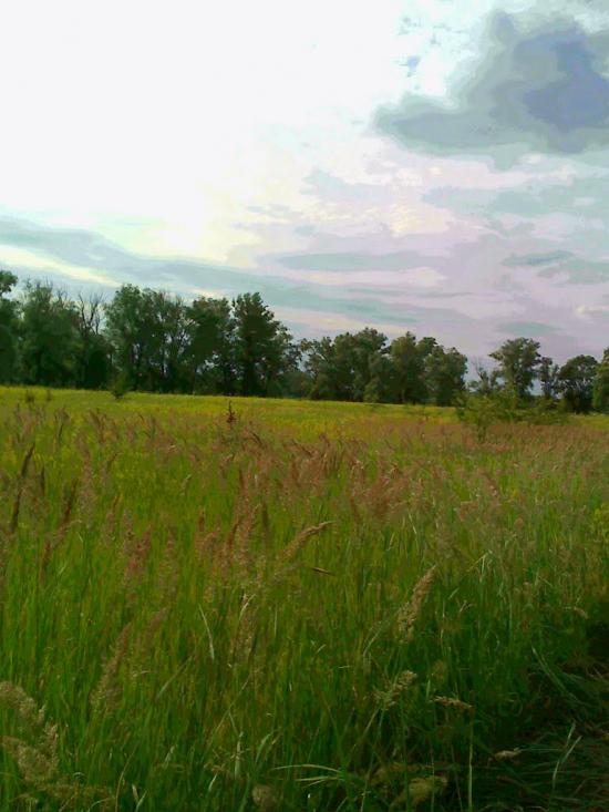Жукин з panoramio.com - Zhukyn