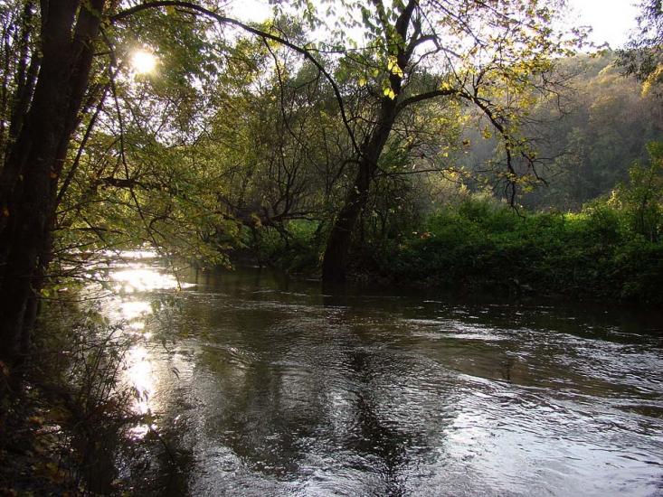 Кринцілів з panoramio.com - Кринцілів