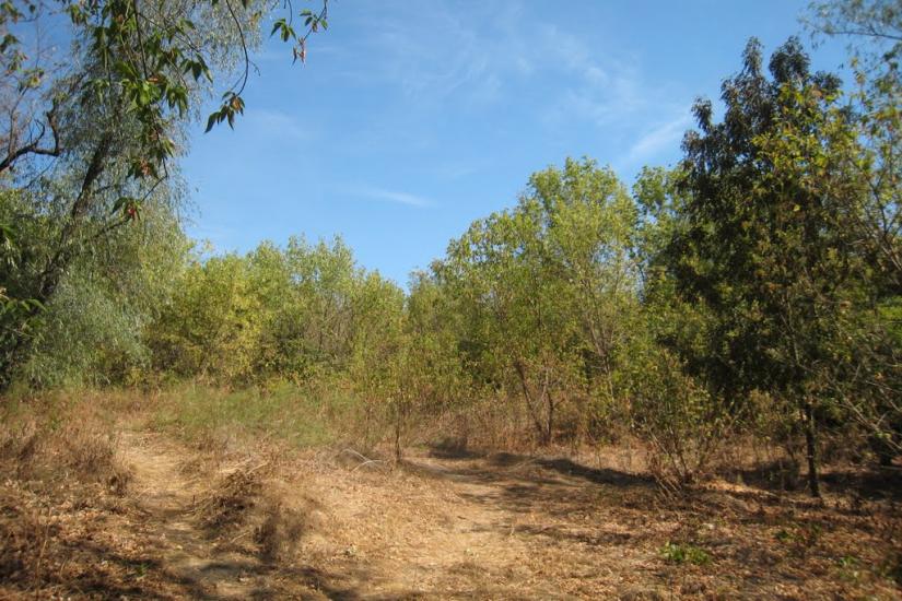 Піщане з panoramio.com - Pischane