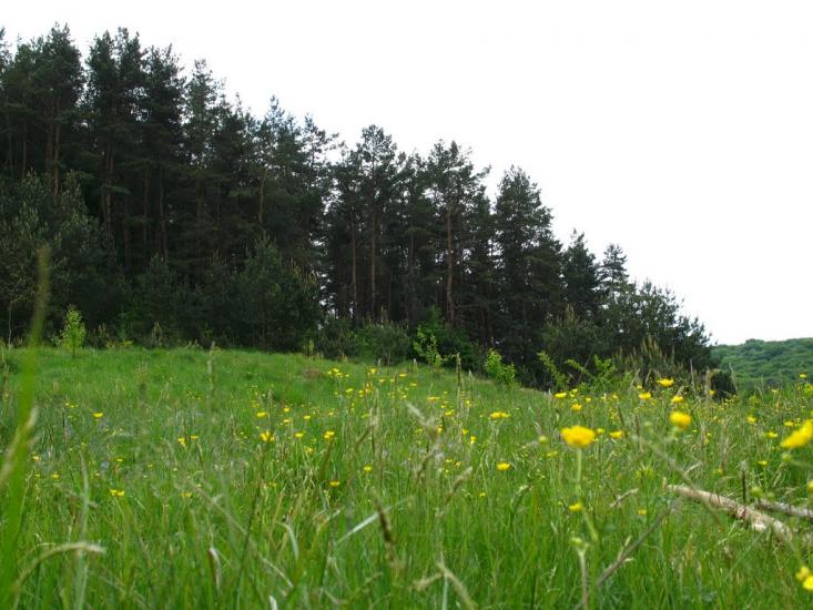 Затемне з panoramio.com - Затемне