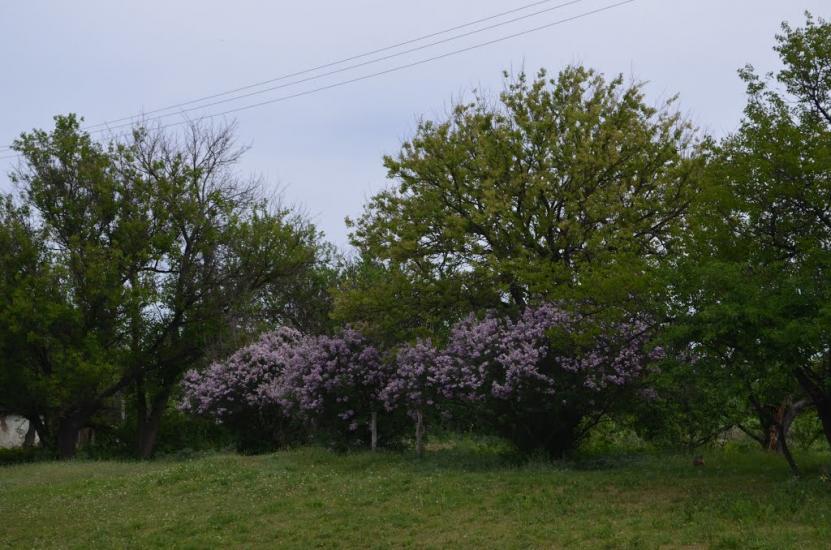 Лікарівка з panoramio.com - Likarivka