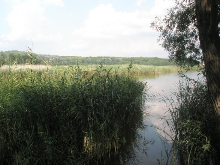 Приморське з panoramio.com - Приморское