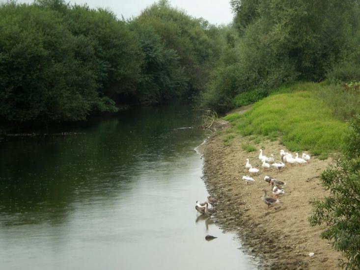 Хлопчиці з panoramio.com - Хлопчицы
